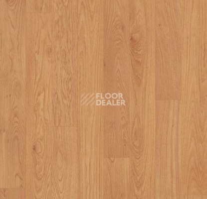 Линолеум Forbo Eternal Wood 11542 traditional oak фото 1 | FLOORDEALER